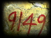 239 9149 marking